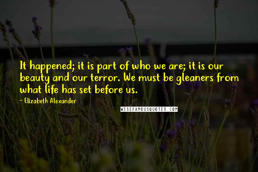 Elizabeth Alexander quotes: It happened; it is part of who we are; it is our beauty and our terror. We must be gleaners from what life has set before us.