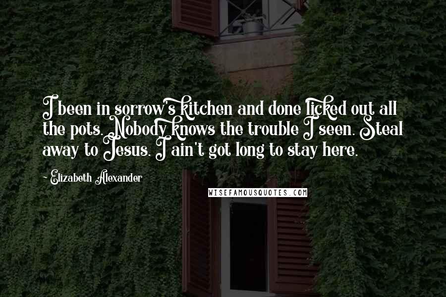 Elizabeth Alexander quotes: I been in sorrow's kitchen and done licked out all the pots. Nobody knows the trouble I seen. Steal away to Jesus. I ain't got long to stay here.