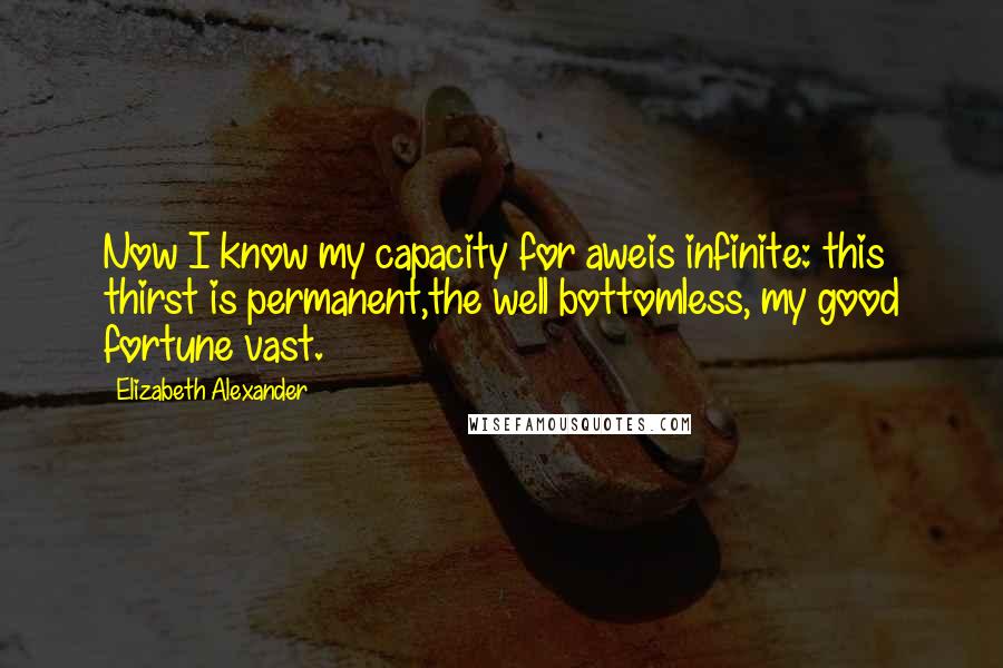 Elizabeth Alexander quotes: Now I know my capacity for aweis infinite: this thirst is permanent,the well bottomless, my good fortune vast.