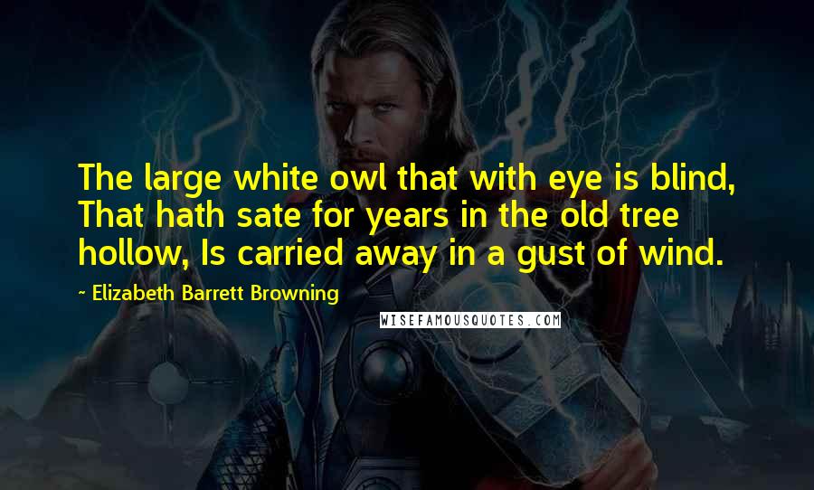 Elizabeth Barrett Browning quotes: The large white owl that with eye is blind, That hath sate for years in the old tree hollow, Is carried away in a gust of wind.