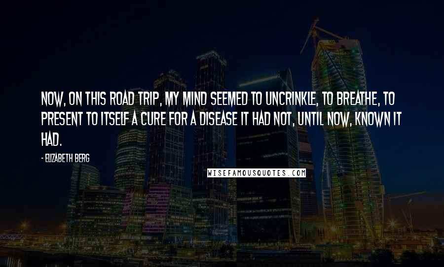 Elizabeth Berg quotes: Now, on this road trip, my mind seemed to uncrinkle, to breathe, to present to itself a cure for a disease it had not, until now, known it had. Elizabeth Berg quotes: Now, on this road trip, my mind seemed to uncrinkle, to breathe, to present to itself a cure for a disease it had not, until now, known it had.