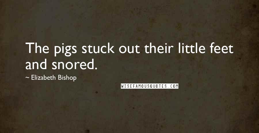 Elizabeth Bishop quotes: The pigs stuck out their little feet and snored.