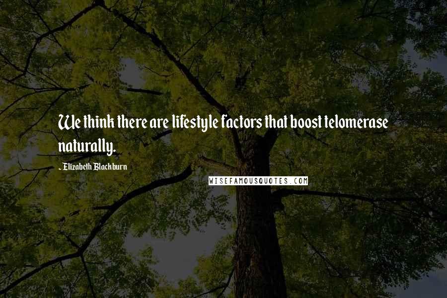 Elizabeth Blackburn quotes: We think there are lifestyle factors that boost telomerase naturally.