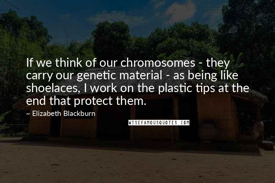 Elizabeth Blackburn quotes: If we think of our chromosomes - they carry our genetic material - as being like shoelaces, I work on the plastic tips at the end that protect them. Elizabeth Blackburn quotes: If we think of our chromosomes - they carry our genetic material - as being like shoelaces, I work on the plastic tips at the end that protect them.