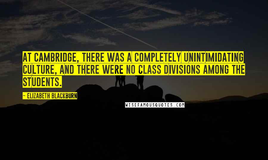 Elizabeth Blackburn quotes: At Cambridge, there was a completely unintimidating culture, and there were no class divisions among the students. Elizabeth Blackburn quotes: At Cambridge, there was a completely unintimidating culture, and there were no class divisions among the students.