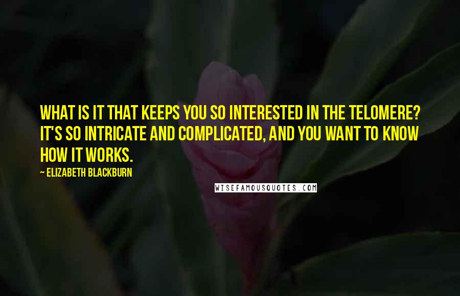Elizabeth Blackburn quotes: What is it that keeps you so interested in the telomere? It's so intricate and complicated, and you want to know how it works. Elizabeth Blackburn quotes: What is it that keeps you so interested in the telomere? It's so intricate and complicated, and you want to know how it works.