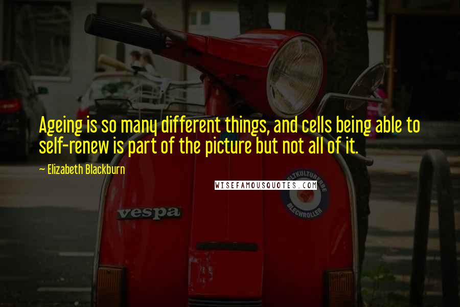 Elizabeth Blackburn quotes: Ageing is so many different things, and cells being able to self-renew is part of the picture but not all of it. Elizabeth Blackburn quotes: Ageing is so many different things, and cells being able to self-renew is part of the picture but not all of it.
