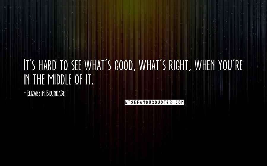Elizabeth Brundage quotes: It's hard to see what's good, what's right, when you're in the middle of it.