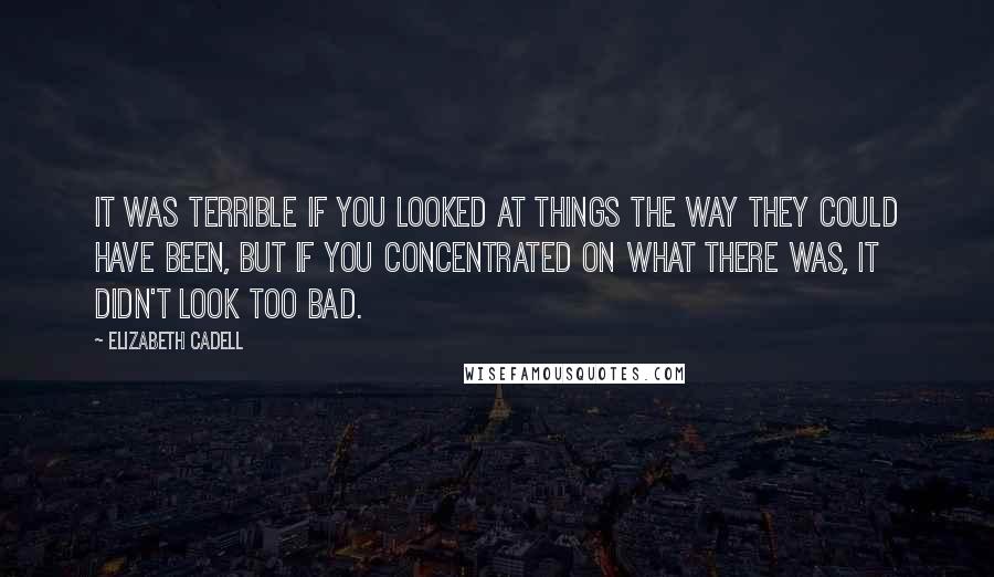 Elizabeth Cadell quotes: It was terrible if you looked at things the way they could have been, but if you concentrated on what there was, it didn't look too bad.