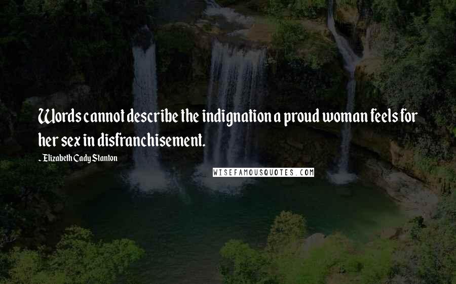 Elizabeth Cady Stanton quotes: Words cannot describe the indignation a proud woman feels for her sex in disfranchisement.