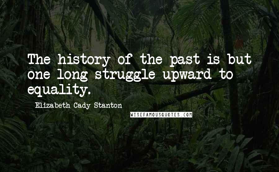 Elizabeth Cady Stanton quotes: The history of the past is but one long struggle upward to equality.
