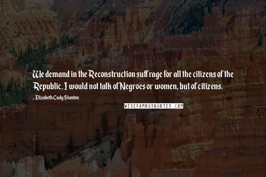 Elizabeth Cady Stanton quotes: We demand in the Reconstruction suffrage for all the citizens of the Republic. I would not talk of Negroes or women, but of citizens.