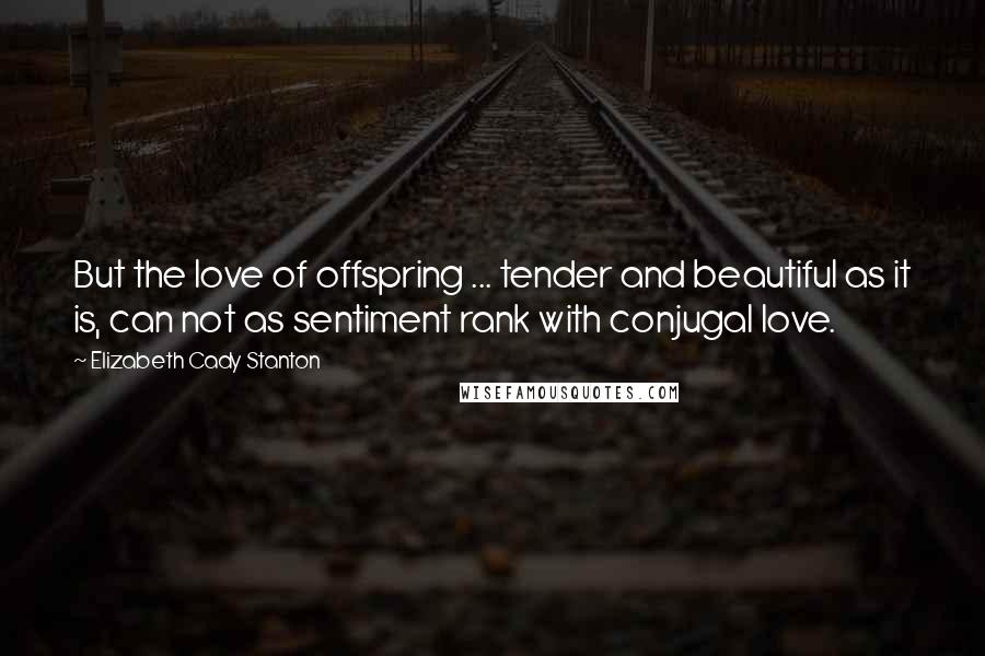 Elizabeth Cady Stanton quotes: But the love of offspring ... tender and beautiful as it is, can not as sentiment rank with conjugal love. Elizabeth Cady Stanton quotes: But the love of offspring ... tender and beautiful as it is, can not as sentiment rank with conjugal love.