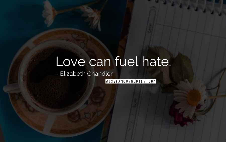 Elizabeth Chandler quotes: Love can fuel hate.