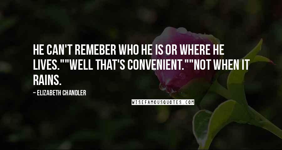 Elizabeth Chandler quotes: He can't remeber who he is or where he lives.""Well that's convenient.""Not when it rains.