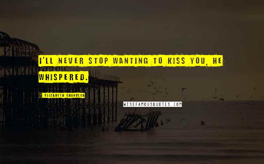 Elizabeth Chandler quotes: I'll never stop wanting to kiss you, he whispered.