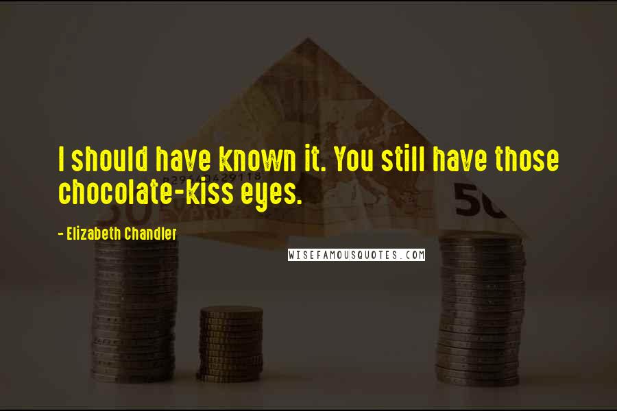 Elizabeth Chandler quotes: I should have known it. You still have those chocolate-kiss eyes.