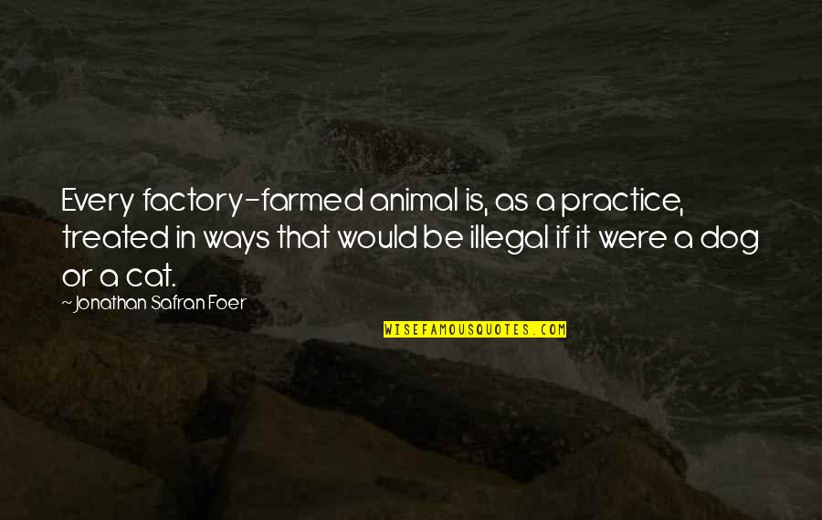 Elizabeth Cody Kimmel Quotes By Jonathan Safran Foer: Every factory-farmed animal is, as a practice, treated