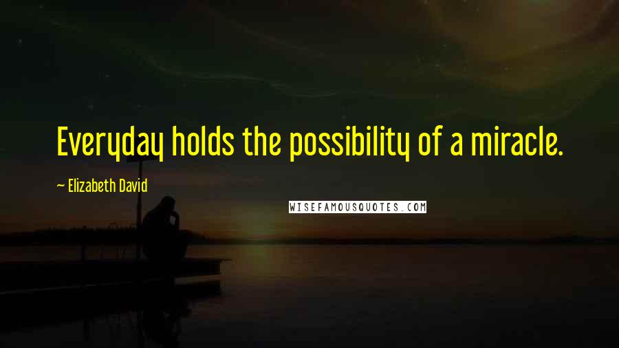 Elizabeth David quotes: Everyday holds the possibility of a miracle.