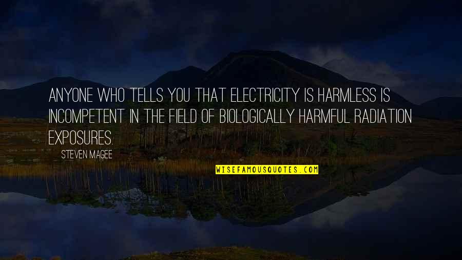Elizabeth Dewitt Quotes By Steven Magee: Anyone who tells you that electricity is harmless Elizabeth Dewitt Quotes By Steven Magee: Anyone who tells you that electricity is harmless