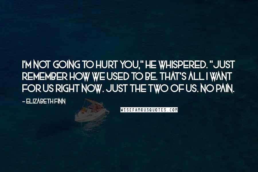 Elizabeth Finn quotes: I'm not going to hurt you," he whispered. "Just remember how we used to be. That's all I want for us right now. Just the two of us. No pain.