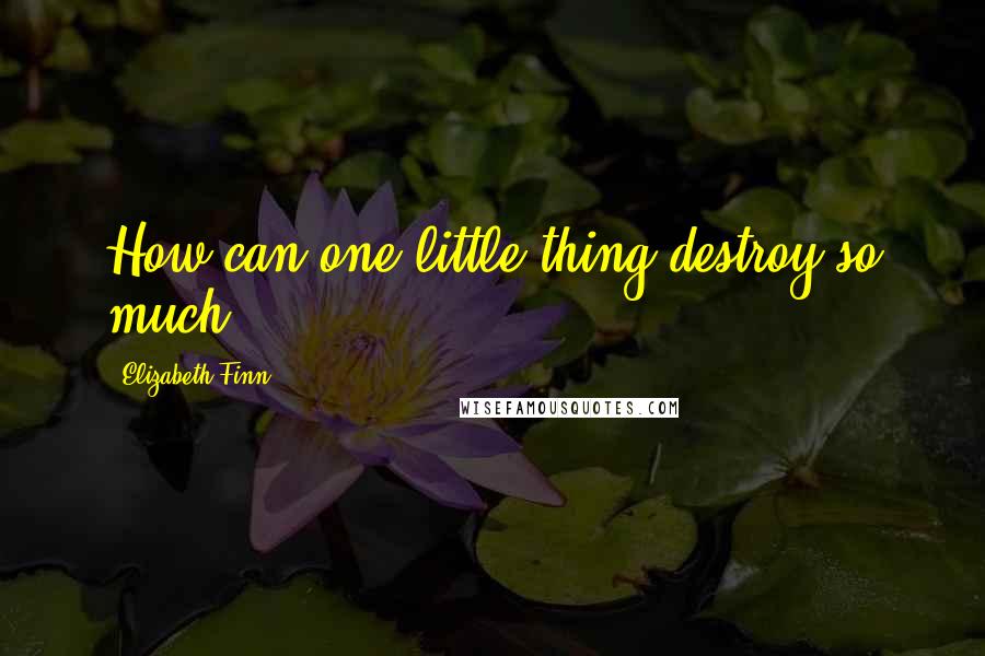 Elizabeth Finn quotes: How can one little thing destroy so much?