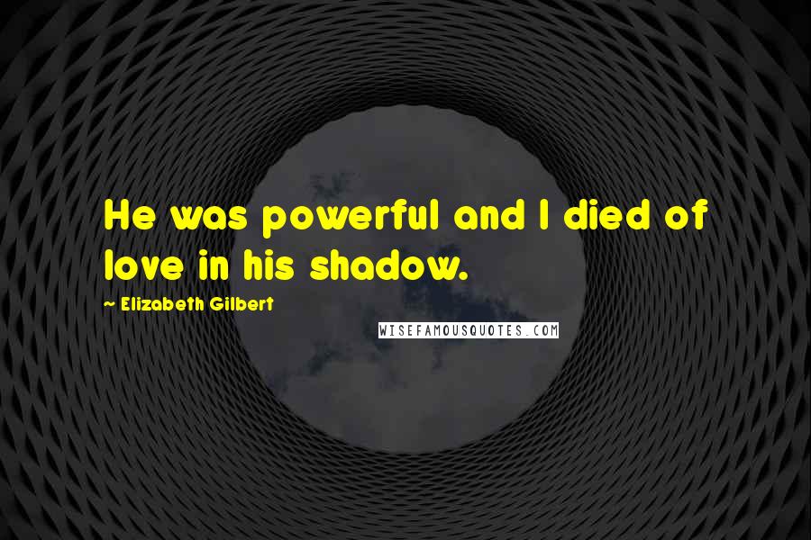 Elizabeth Gilbert quotes: He was powerful and I died of love in his shadow.