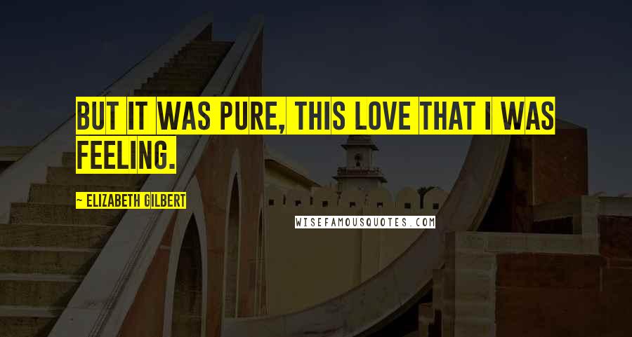 Elizabeth Gilbert quotes: But it was pure, this love that I was feeling.