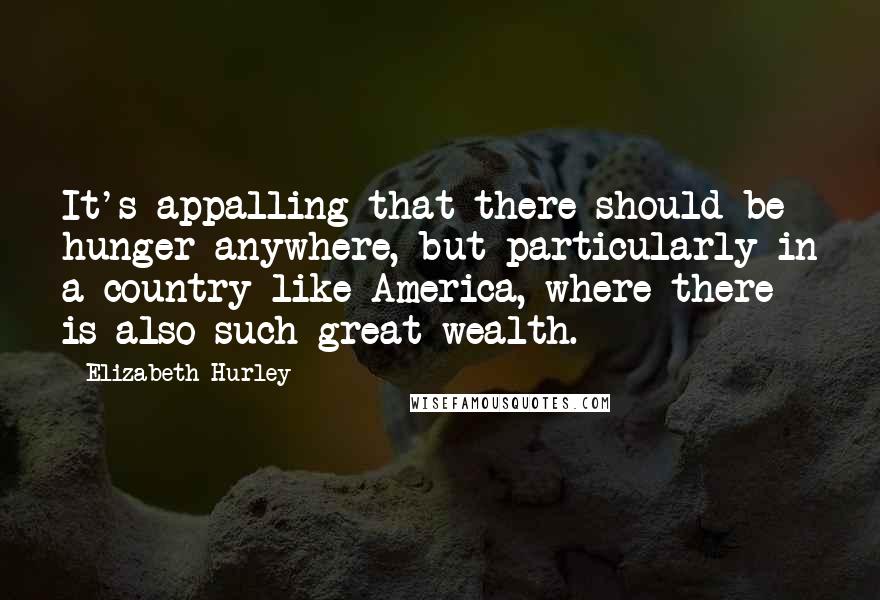 Elizabeth Hurley quotes: It's appalling that there should be hunger anywhere, but particularly in a country like America, where there is also such great wealth.