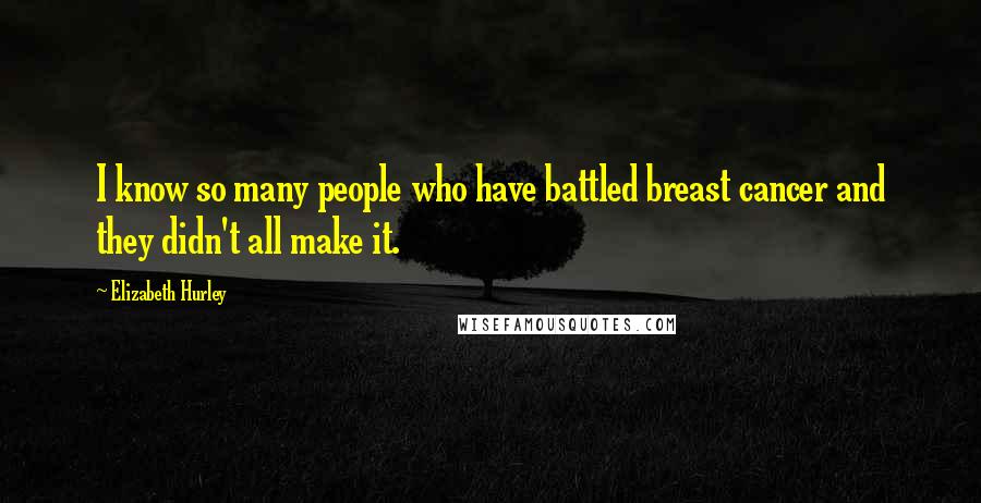 Elizabeth Hurley quotes: I know so many people who have battled breast cancer and they didn't all make it. Elizabeth Hurley quotes: I know so many people who have battled breast cancer and they didn't all make it.