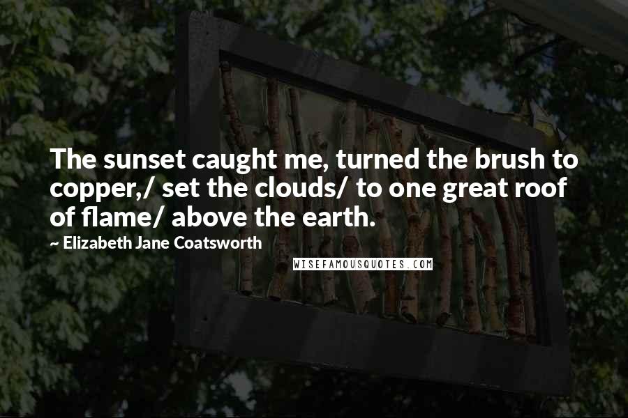 Elizabeth Jane Coatsworth quotes: The sunset caught me, turned the brush to copper,/ set the clouds/ to one great roof of flame/ above the earth. Elizabeth Jane Coatsworth quotes: The sunset caught me, turned the brush to copper,/ set the clouds/ to one great roof of flame/ above the earth.