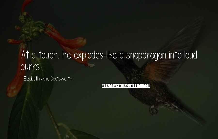 Elizabeth Jane Coatsworth quotes: At a touch, he explodes like a snapdragon into loud purrs.