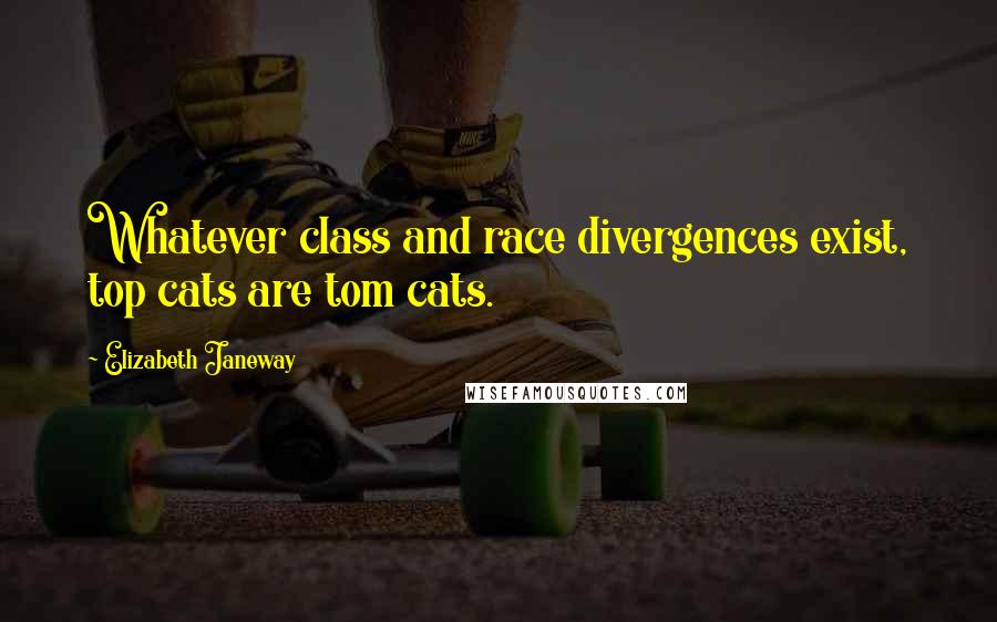 Elizabeth Janeway quotes: Whatever class and race divergences exist, top cats are tom cats.
