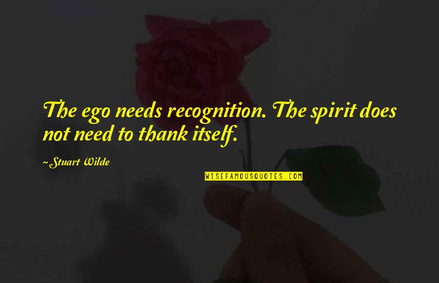 Elizabeth Janeway Quotes By Stuart Wilde: The ego needs recognition. The spirit does not