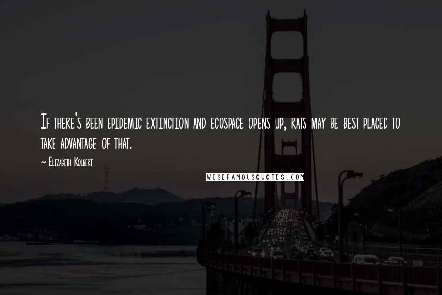 Elizabeth Kolbert quotes: If there's been epidemic extinction and ecospace opens up, rats may be best placed to take advantage of that.