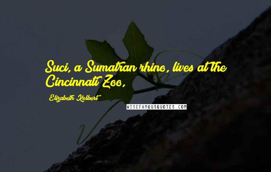 Elizabeth Kolbert quotes: Suci, a Sumatran rhino, lives at the Cincinnati Zoo,