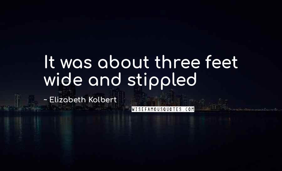 Elizabeth Kolbert quotes: It was about three feet wide and stippled
