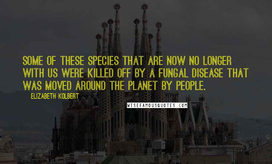 Elizabeth Kolbert quotes: Some of these species that are now no longer with us were killed off by a fungal disease that was moved around the planet by people.