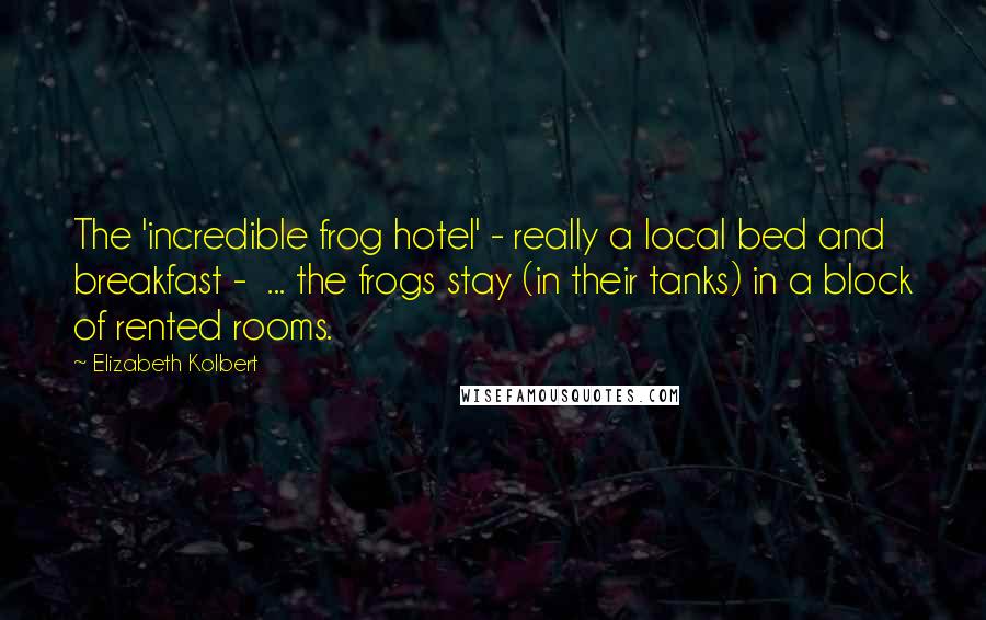 Elizabeth Kolbert quotes: The 'incredible frog hotel' - really a local bed and breakfast - ... the frogs stay (in their tanks) in a block of rented rooms.