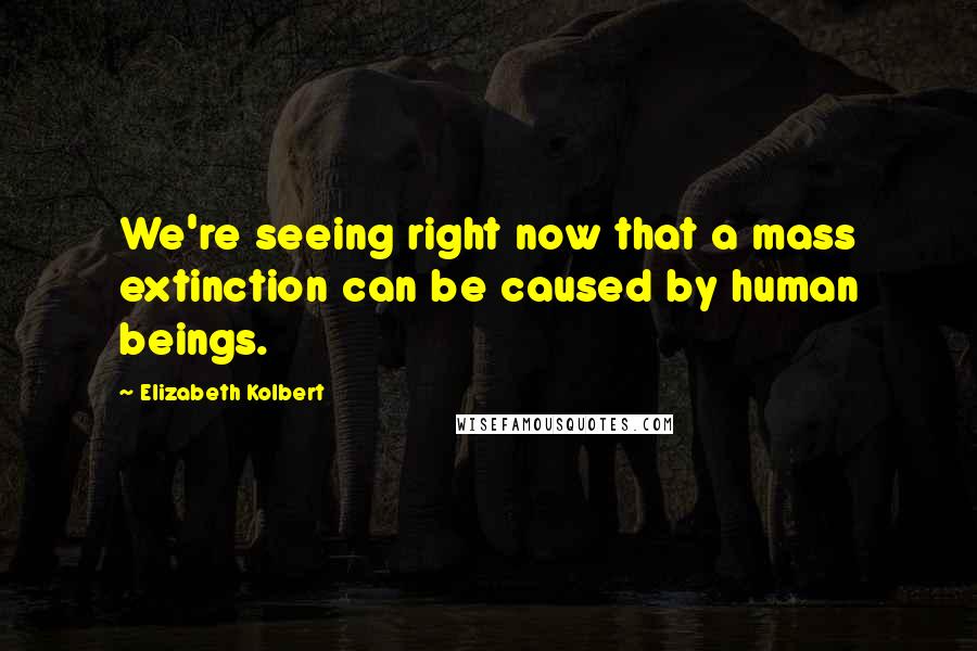 Elizabeth Kolbert quotes: We're seeing right now that a mass extinction can be caused by human beings.