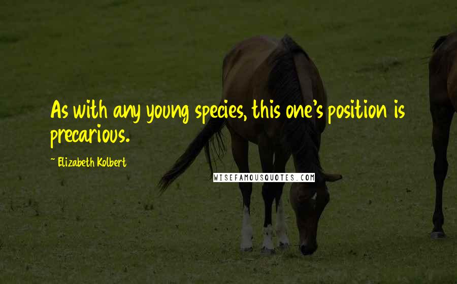 Elizabeth Kolbert quotes: As with any young species, this one's position is precarious.