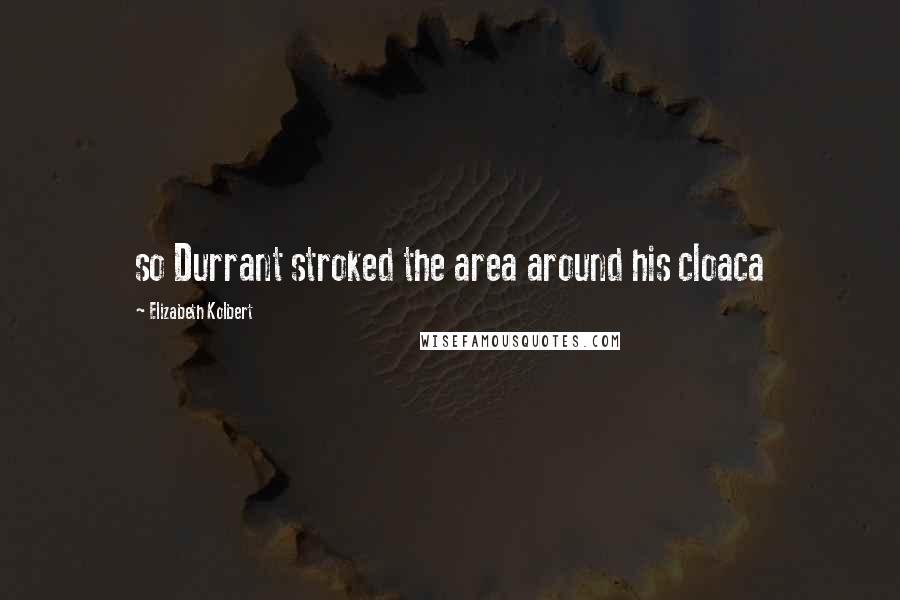 Elizabeth Kolbert quotes: so Durrant stroked the area around his cloaca