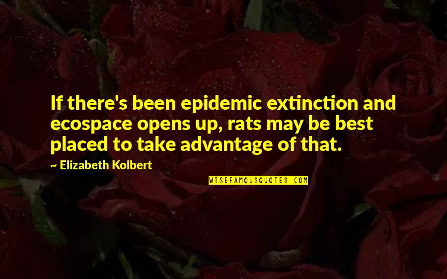 Elizabeth Kolbert Quotes By Elizabeth Kolbert: If there's been epidemic extinction and ecospace opens