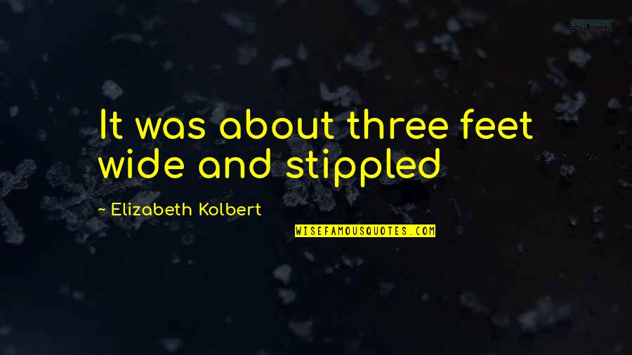 Elizabeth Kolbert Quotes By Elizabeth Kolbert: It was about three feet wide and stippled