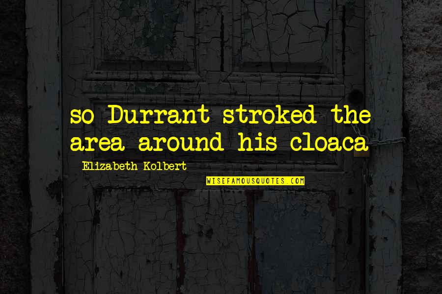 Elizabeth Kolbert Quotes By Elizabeth Kolbert: so Durrant stroked the area around his cloaca