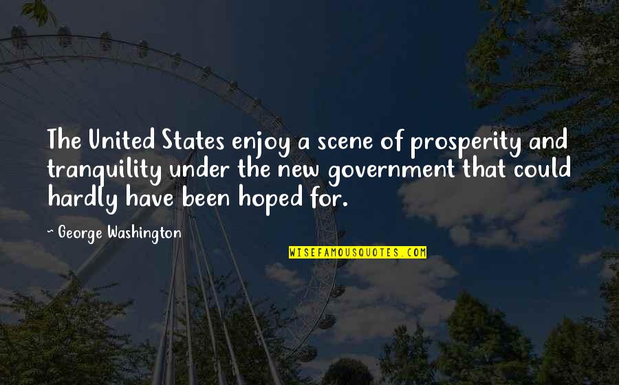 Elizabeth Leefolt Quotes By George Washington: The United States enjoy a scene of prosperity