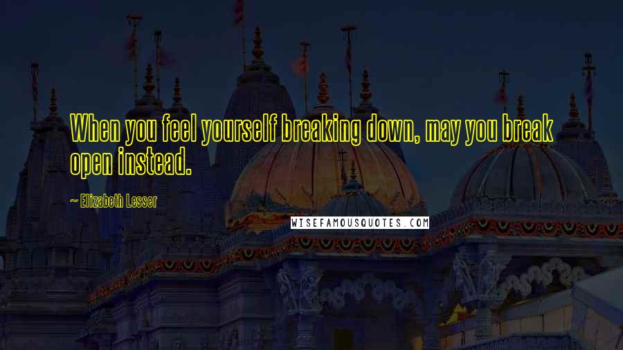 Elizabeth Lesser quotes: When you feel yourself breaking down, may you break open instead.