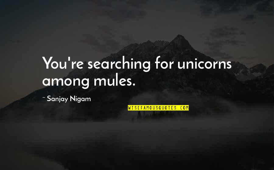 Elizabeth Margo Quotes By Sanjay Nigam: You're searching for unicorns among mules. Elizabeth Margo Quotes By Sanjay Nigam: You're searching for unicorns among mules.