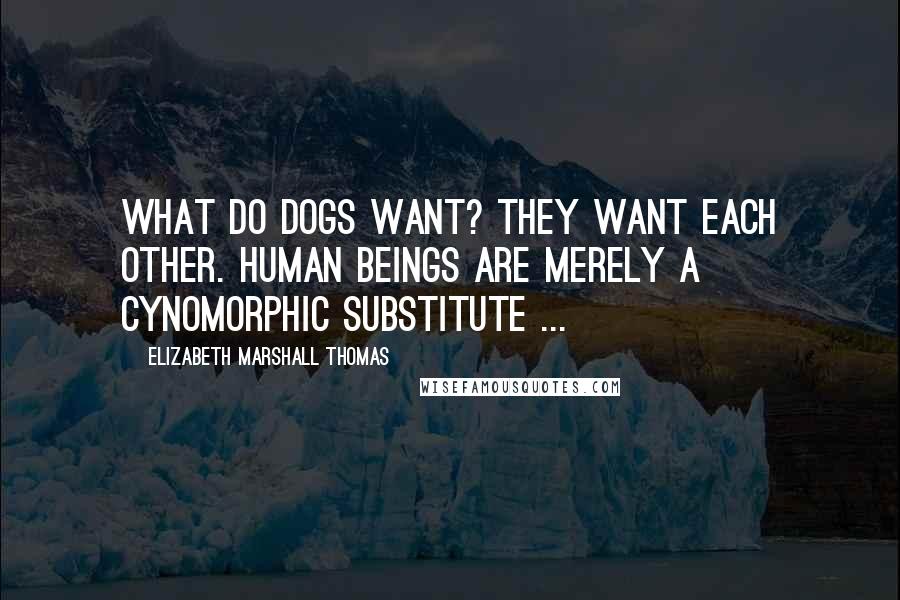 Elizabeth Marshall Thomas quotes: What do dogs want? They want each other. Human beings are merely a cynomorphic substitute ... Elizabeth Marshall Thomas quotes: What do dogs want? They want each other. Human beings are merely a cynomorphic substitute ...