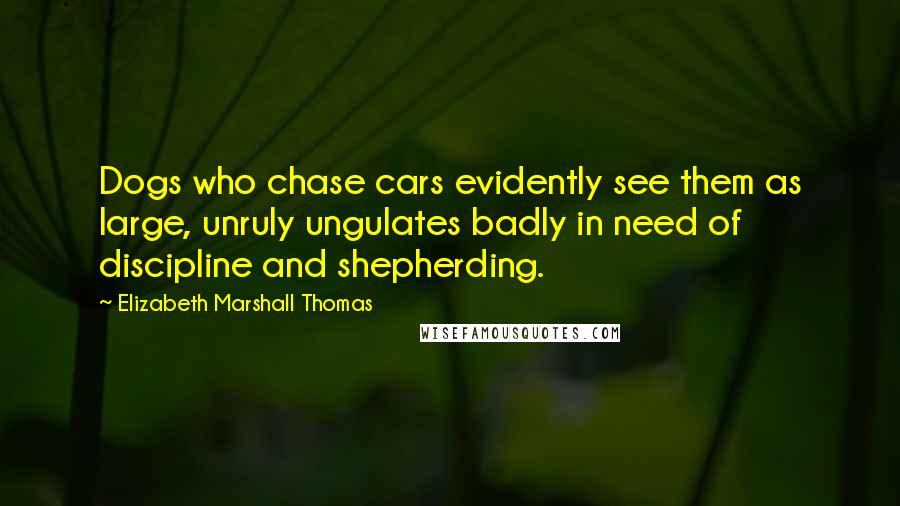 Elizabeth Marshall Thomas quotes: Dogs who chase cars evidently see them as large, unruly ungulates badly in need of discipline and shepherding.